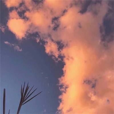 河北加快推进农业灾后恢复生产